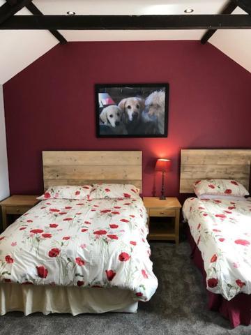 Holywell Grange Farm Villa Whitley Bay Luaran gambar